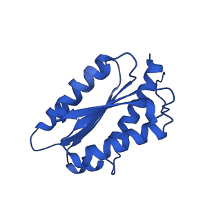 28807_8f25_7_v1-1
Cryo-EM structure of Lumazine synthase nanoparticle linked to VP8* antigen