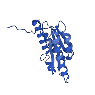 28807_8f25_9_v1-1
Cryo-EM structure of Lumazine synthase nanoparticle linked to VP8* antigen
