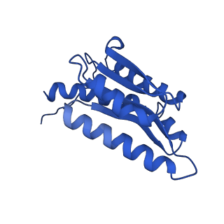28807_8f25_D_v1-1
Cryo-EM structure of Lumazine synthase nanoparticle linked to VP8* antigen