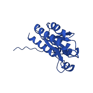 28807_8f25_E_v1-1
Cryo-EM structure of Lumazine synthase nanoparticle linked to VP8* antigen