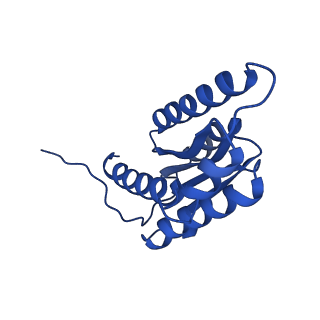 28807_8f25_F_v1-1
Cryo-EM structure of Lumazine synthase nanoparticle linked to VP8* antigen