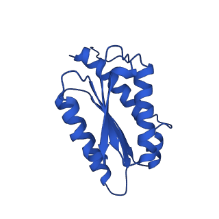 28807_8f25_G_v1-1
Cryo-EM structure of Lumazine synthase nanoparticle linked to VP8* antigen