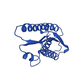 28807_8f25_H_v1-1
Cryo-EM structure of Lumazine synthase nanoparticle linked to VP8* antigen