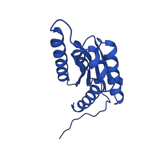 28807_8f25_I_v1-1
Cryo-EM structure of Lumazine synthase nanoparticle linked to VP8* antigen