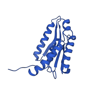 28807_8f25_J_v1-1
Cryo-EM structure of Lumazine synthase nanoparticle linked to VP8* antigen