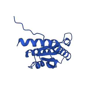 28807_8f25_L_v1-1
Cryo-EM structure of Lumazine synthase nanoparticle linked to VP8* antigen