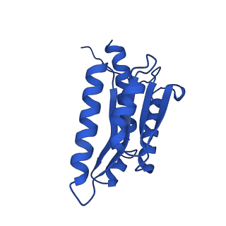 28807_8f25_O_v1-1
Cryo-EM structure of Lumazine synthase nanoparticle linked to VP8* antigen