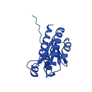 28807_8f25_P_v1-1
Cryo-EM structure of Lumazine synthase nanoparticle linked to VP8* antigen