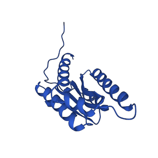 28807_8f25_Q_v1-1
Cryo-EM structure of Lumazine synthase nanoparticle linked to VP8* antigen