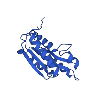 28807_8f25_R_v1-1
Cryo-EM structure of Lumazine synthase nanoparticle linked to VP8* antigen
