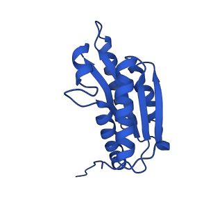 28807_8f25_S_v1-1
Cryo-EM structure of Lumazine synthase nanoparticle linked to VP8* antigen