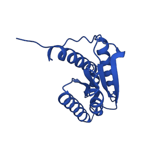 28807_8f25_T_v1-1
Cryo-EM structure of Lumazine synthase nanoparticle linked to VP8* antigen