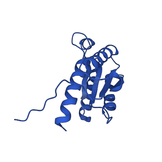 28807_8f25_U_v1-1
Cryo-EM structure of Lumazine synthase nanoparticle linked to VP8* antigen