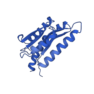 28807_8f25_W_v1-1
Cryo-EM structure of Lumazine synthase nanoparticle linked to VP8* antigen