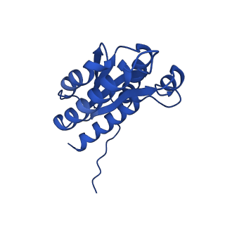 28807_8f25_X_v1-1
Cryo-EM structure of Lumazine synthase nanoparticle linked to VP8* antigen