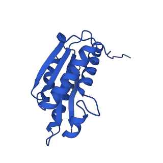 28807_8f25_Y_v1-1
Cryo-EM structure of Lumazine synthase nanoparticle linked to VP8* antigen