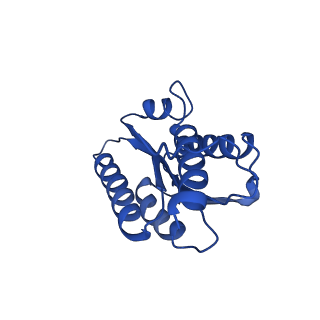 28807_8f25_d_v1-1
Cryo-EM structure of Lumazine synthase nanoparticle linked to VP8* antigen