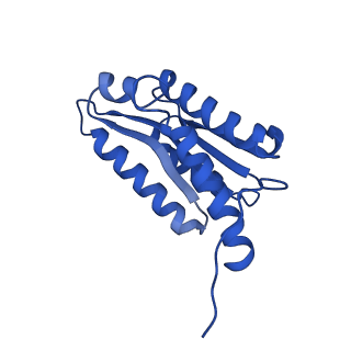 28807_8f25_e_v1-1
Cryo-EM structure of Lumazine synthase nanoparticle linked to VP8* antigen