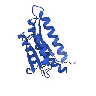 28807_8f25_g_v1-1
Cryo-EM structure of Lumazine synthase nanoparticle linked to VP8* antigen