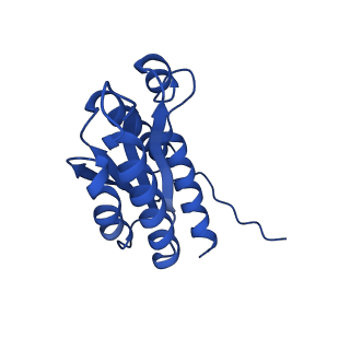 28807_8f25_h_v1-1
Cryo-EM structure of Lumazine synthase nanoparticle linked to VP8* antigen