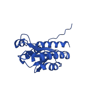 28807_8f25_i_v1-1
Cryo-EM structure of Lumazine synthase nanoparticle linked to VP8* antigen