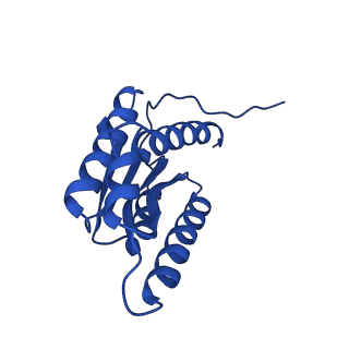 28807_8f25_j_v1-1
Cryo-EM structure of Lumazine synthase nanoparticle linked to VP8* antigen