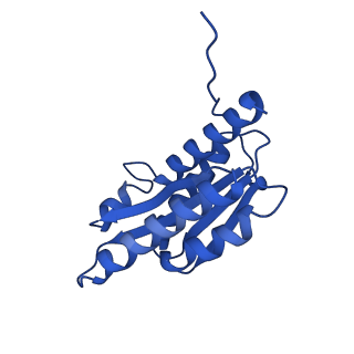 28807_8f25_k_v1-1
Cryo-EM structure of Lumazine synthase nanoparticle linked to VP8* antigen