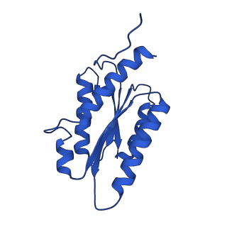 28807_8f25_l_v1-1
Cryo-EM structure of Lumazine synthase nanoparticle linked to VP8* antigen