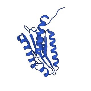 28807_8f25_m_v1-1
Cryo-EM structure of Lumazine synthase nanoparticle linked to VP8* antigen
