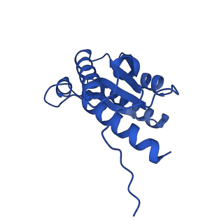 28807_8f25_o_v1-1
Cryo-EM structure of Lumazine synthase nanoparticle linked to VP8* antigen