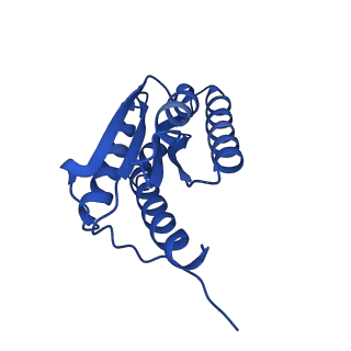 28807_8f25_p_v1-1
Cryo-EM structure of Lumazine synthase nanoparticle linked to VP8* antigen
