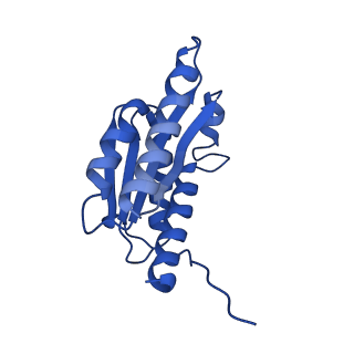 28807_8f25_q_v1-1
Cryo-EM structure of Lumazine synthase nanoparticle linked to VP8* antigen