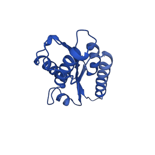 28807_8f25_r_v1-1
Cryo-EM structure of Lumazine synthase nanoparticle linked to VP8* antigen