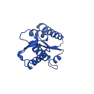 28807_8f25_s_v1-1
Cryo-EM structure of Lumazine synthase nanoparticle linked to VP8* antigen