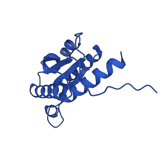 28807_8f25_t_v1-1
Cryo-EM structure of Lumazine synthase nanoparticle linked to VP8* antigen