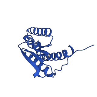 28807_8f25_u_v1-1
Cryo-EM structure of Lumazine synthase nanoparticle linked to VP8* antigen