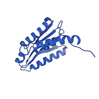 28807_8f25_w_v1-1
Cryo-EM structure of Lumazine synthase nanoparticle linked to VP8* antigen