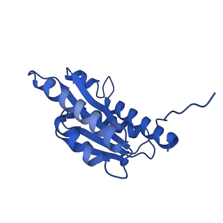 28807_8f25_x_v1-1
Cryo-EM structure of Lumazine synthase nanoparticle linked to VP8* antigen