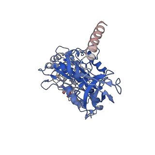 28809_8f29_B_v1-1
Yeast ATP synthase in conformation-1 at pH 6