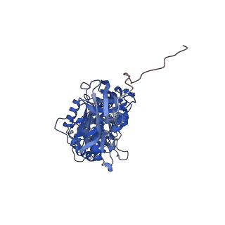 28809_8f29_C_v1-1
Yeast ATP synthase in conformation-1 at pH 6