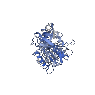 28809_8f29_D_v1-1
Yeast ATP synthase in conformation-1 at pH 6