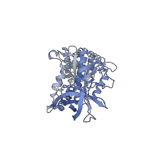 28809_8f29_E_v1-1
Yeast ATP synthase in conformation-1 at pH 6