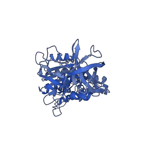 28809_8f29_F_v1-1
Yeast ATP synthase in conformation-1 at pH 6