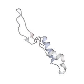 28809_8f29_I_v1-1
Yeast ATP synthase in conformation-1 at pH 6