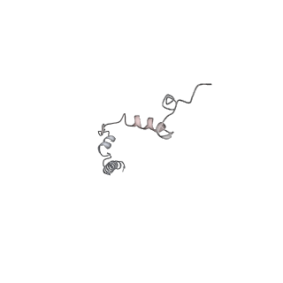 28809_8f29_U_v1-1
Yeast ATP synthase in conformation-1 at pH 6