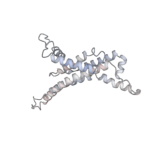 28809_8f29_X_v1-1
Yeast ATP synthase in conformation-1 at pH 6