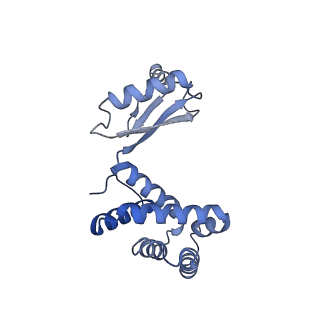 28809_8f29_Y_v1-1
Yeast ATP synthase in conformation-1 at pH 6