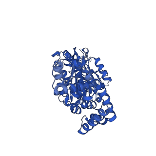28818_8f2k_B_v1-1
Structure of yeast F1-ATPase determined with 100 micromolar cruentaren A