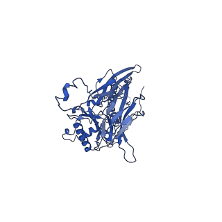 28823_8f2n_AG_v1-0
Phi-29 partially-expanded fiberless prohead