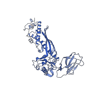 28823_8f2n_AS_v1-0
Phi-29 partially-expanded fiberless prohead